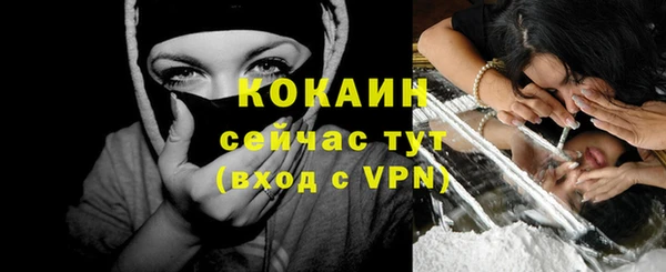 меф Ельня