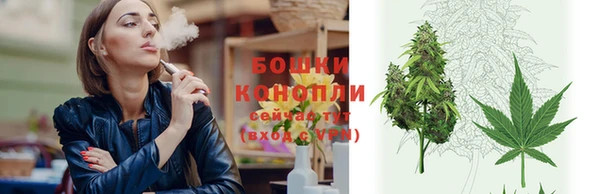 меф Ельня