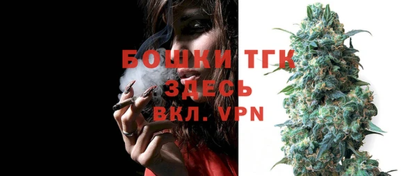 меф Ельня