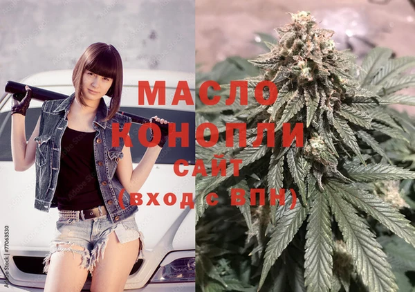 меф Ельня